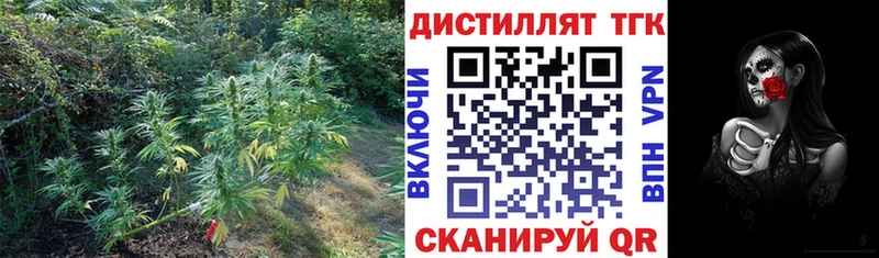 ТГК концентрат  закладки  Тотьма 
